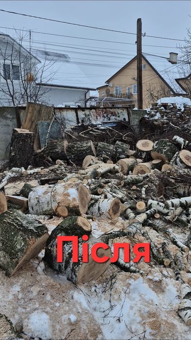 Зрізка зрізання кронування обрізання  дерев