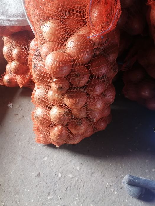 Cebula worek 10 kilo wysyłka inpost prosto od rolnika wysyłka inpost