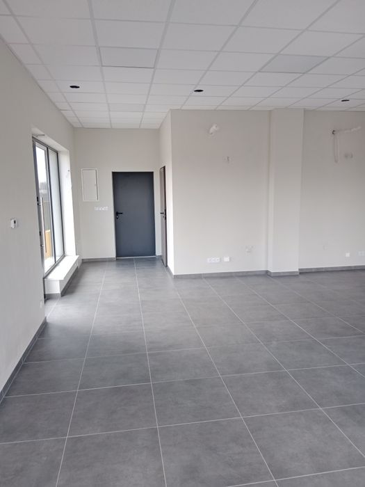 Lokal do wynajęcia Niegów gm. Zabrodzie
