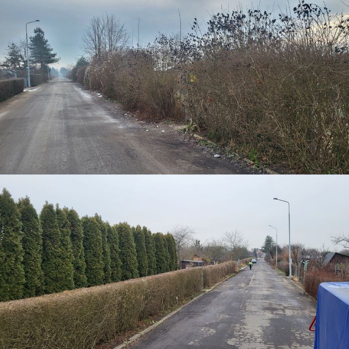 Uslugi Ogrodnicze Rębak, koparka, glebogryzarka, koszenie, przekopywan