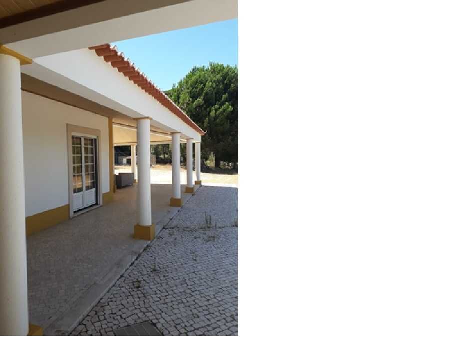 Quinta T3 inserida numa área de 3 hectares com boas infraestruturas