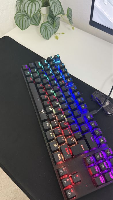 Vendo full setup