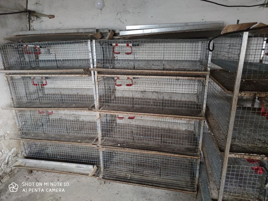 Klatka dla przepiórek regał