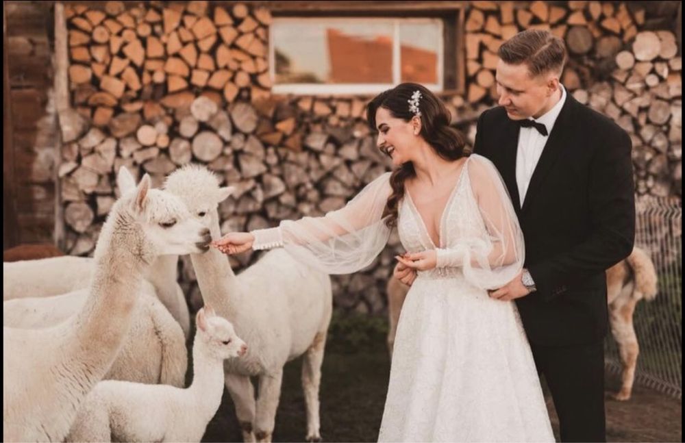 Suknia ślubna Pollardi/Regina