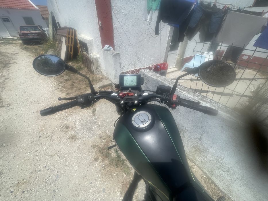 Benelli leoncino