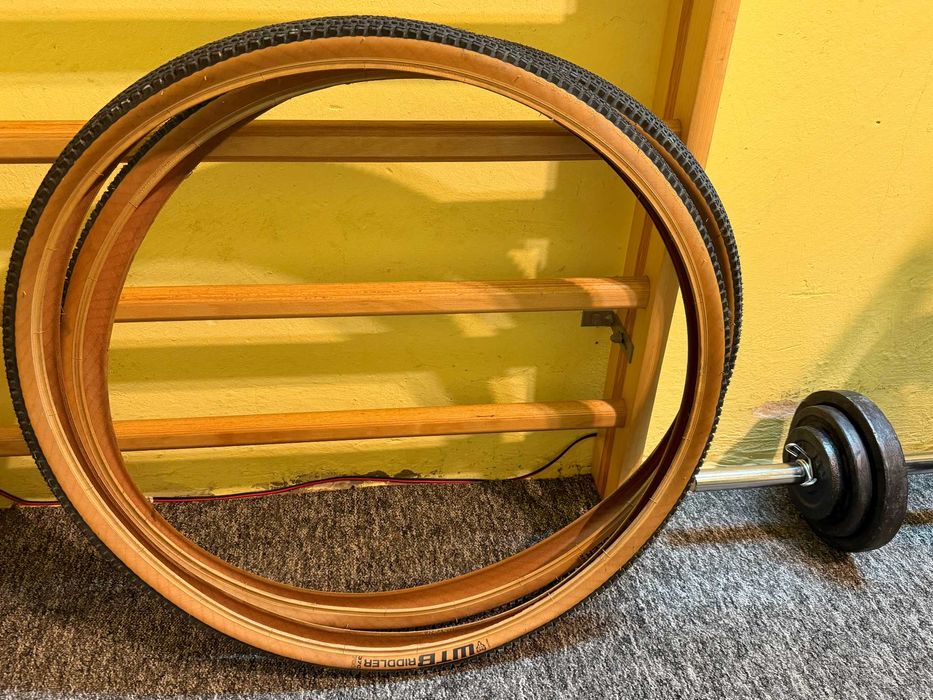 Rower Kross Esker 6.0 L