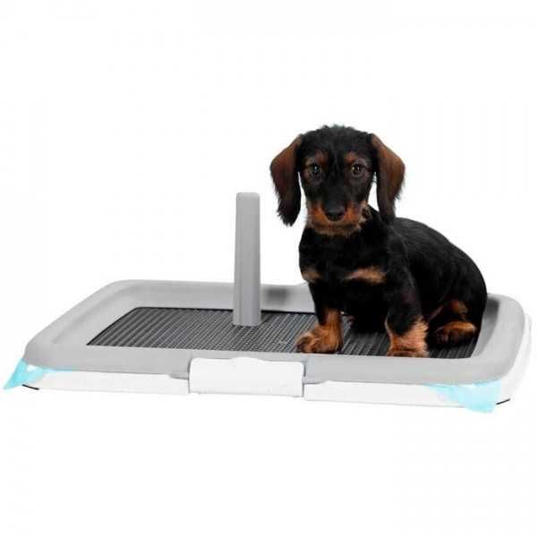 Tabuleiro para Resguardos Puppy Trainer Set 60 x 40 cm para Cães