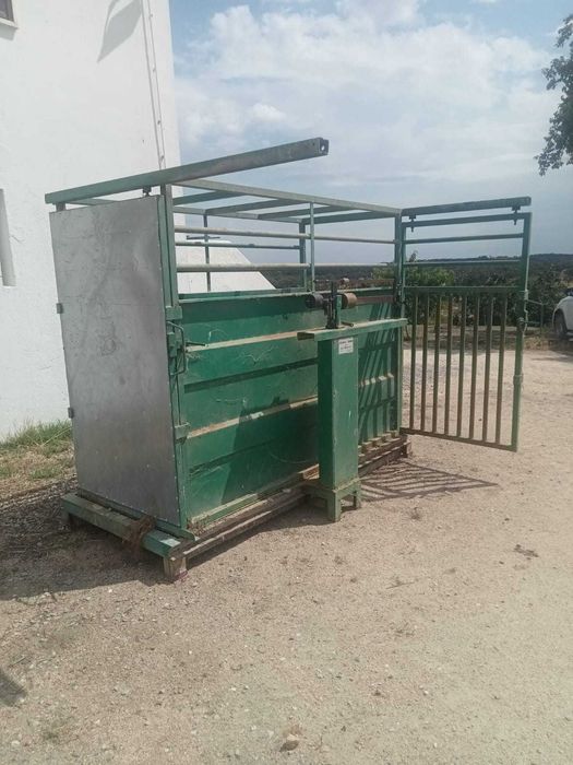 Balança de pesar vitelos