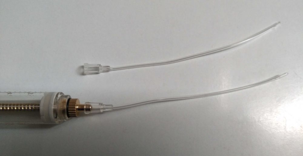 Seringa de alimentação, criar animais, criar aves à mão. Pássaro