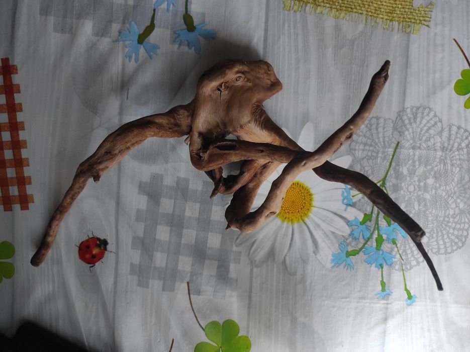 Всё для аквариума