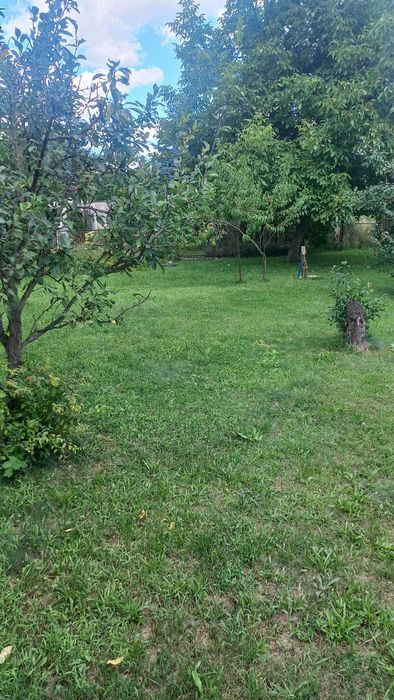 2 działki ROD [Poznań Ogrody działkowe Górczynka]