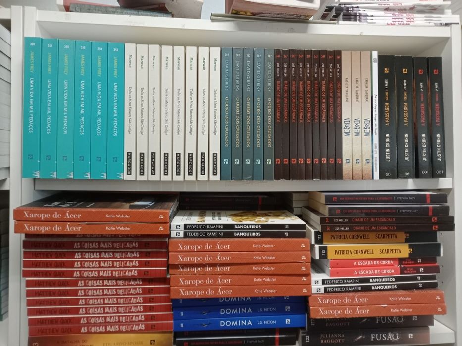 Lote 1000 Livros Novos