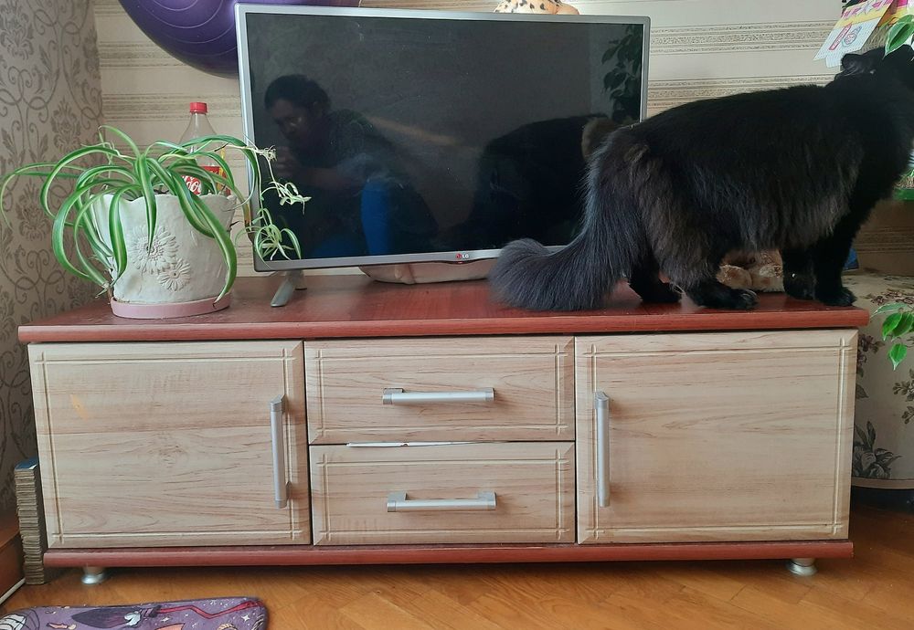 Тумба під телевізор