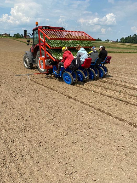 sadzarka karuzelowa  FERRARI F MAX 4 wynajem