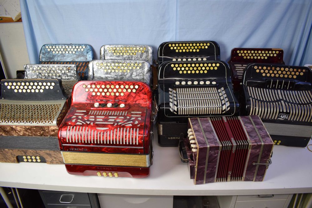 Coleçao de concertinas para venda
