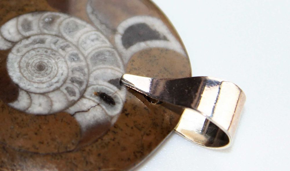 Pendente elegante e com valor Histórico, Amonite