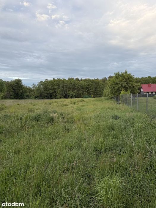 Działka z WZ 3000 m² w malowniczej spokojnej okolicy - Widok 3