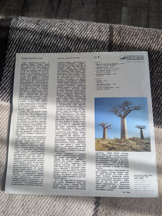 Pink Floyd Delicate sound of thunder платівка