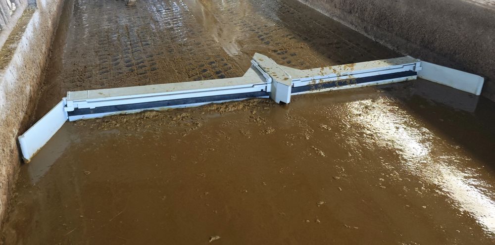 Rodos de vacaria novos.