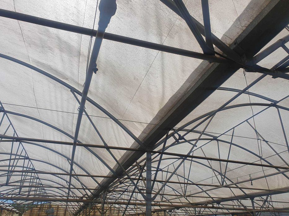 Estruturas de Estufas Modelo RICHEL 1000m2