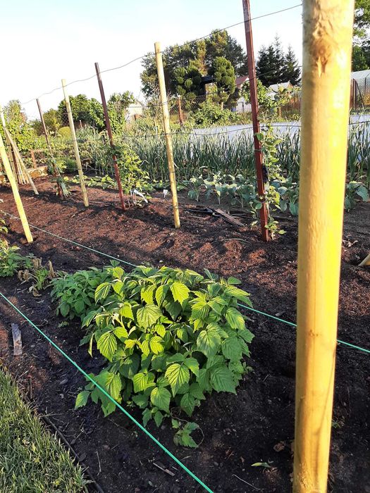 Działka ogrodowo - rekreacyjna ROD