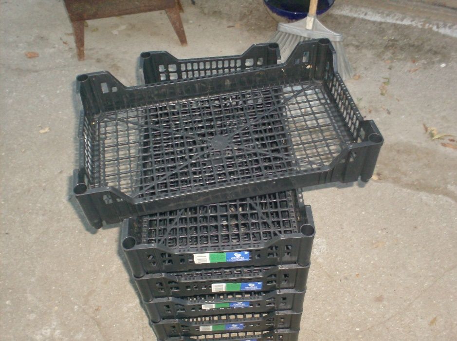 caixas