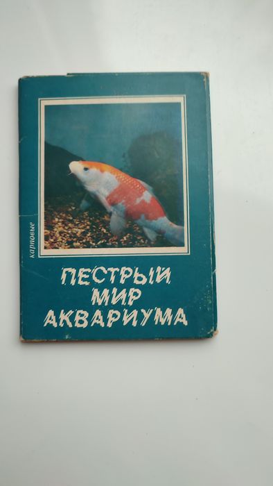 Яскравий світ акваріуму