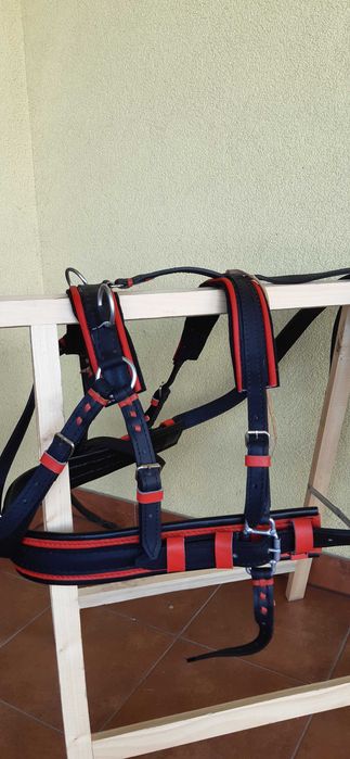 Uprząż szory na kucyka