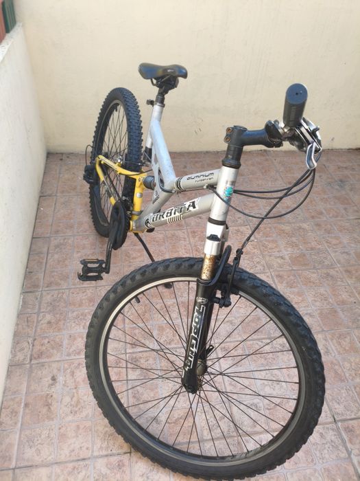 Bicicleta de trilha