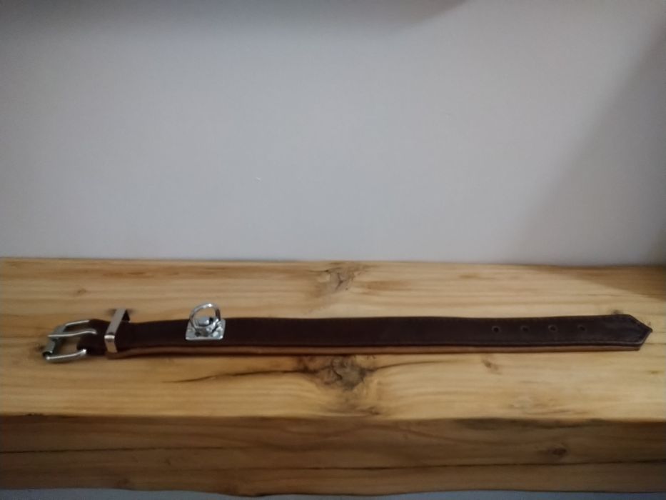 Tropowa obroża dla psa mocna