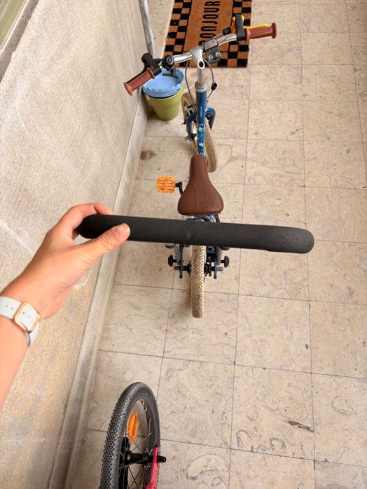 Draisienne / Bicicleta 3 em 1 com guidão opcional