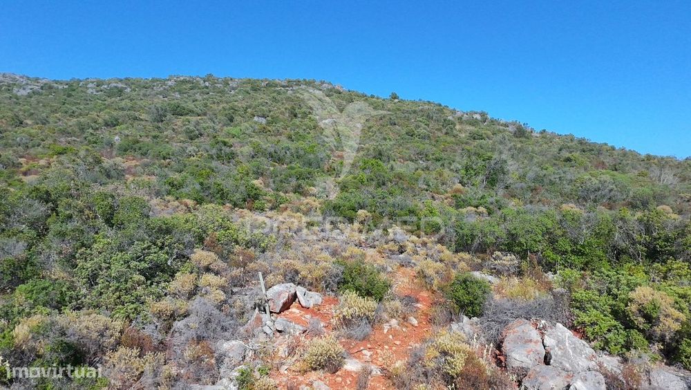 Terreno Rústico com 2520m² no Coração de Moncarapacho, Olhão, Algarve.