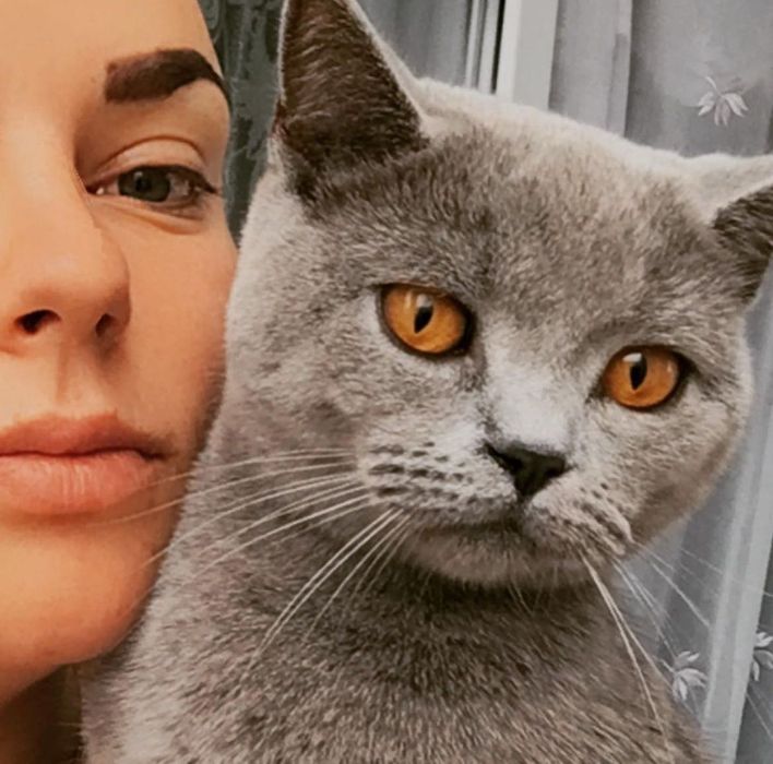 Вʼязка шатландки