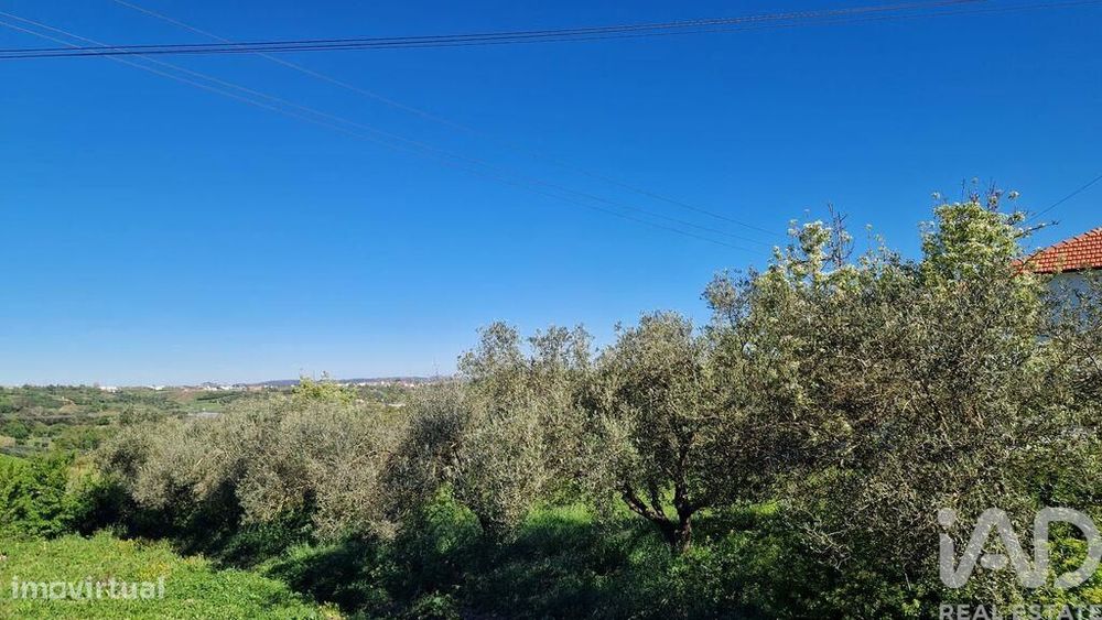 Terreno em Porto de Mós - São João Baptista e São Pedro