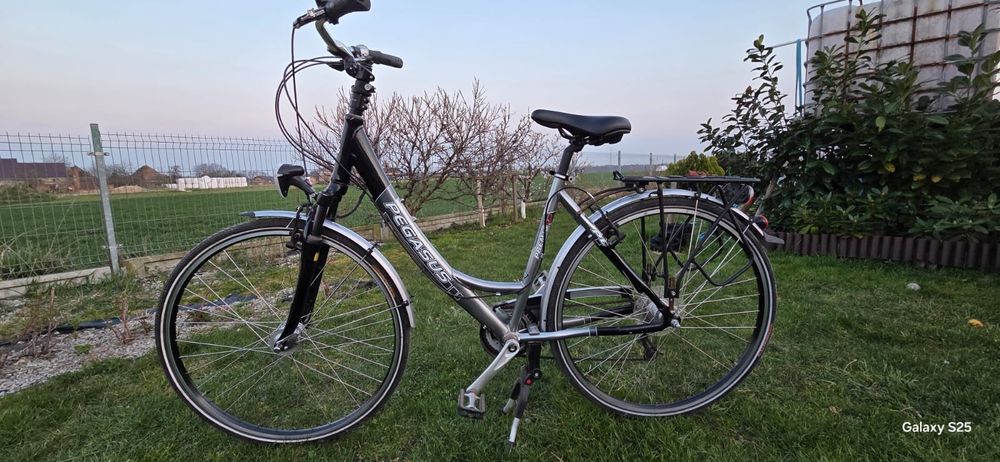 Rower miejski Pegasus