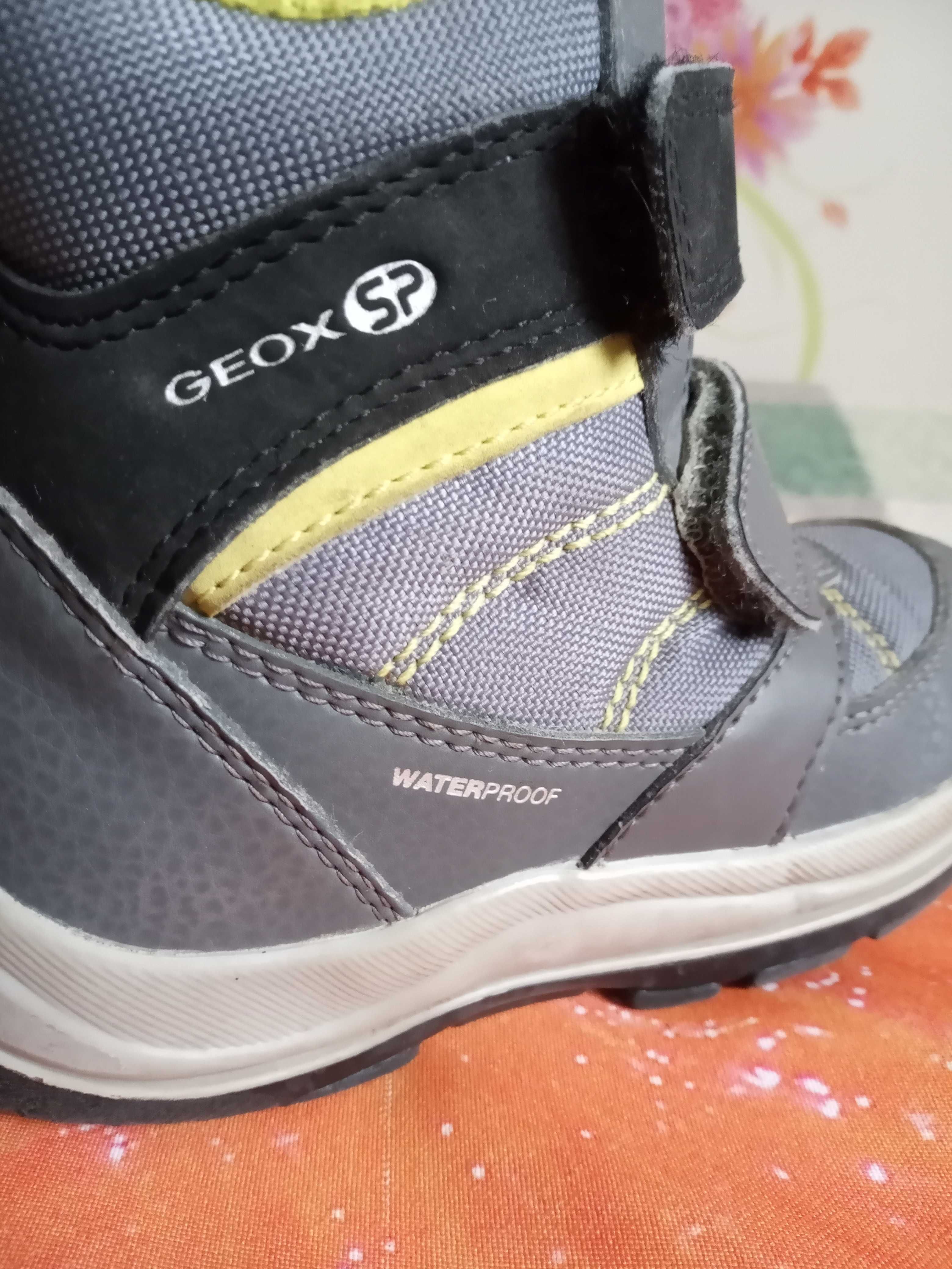 GEOX SP. 390 Olx