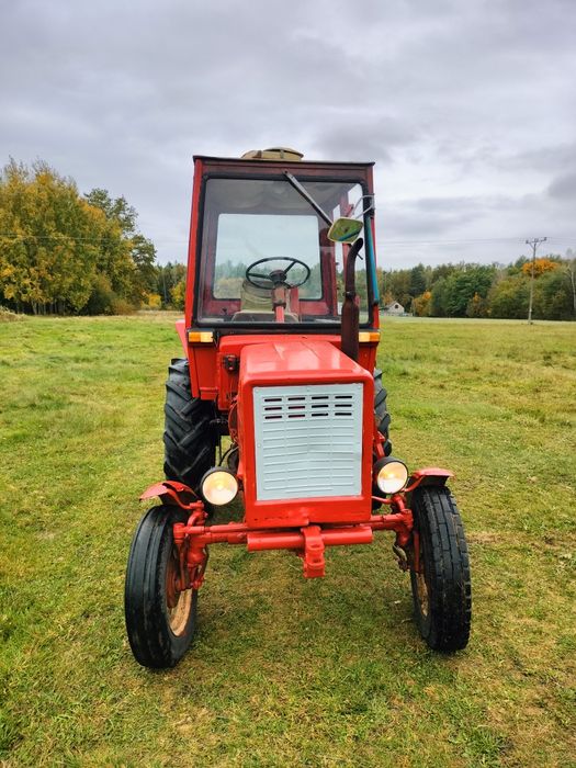 Władymirec władek t25