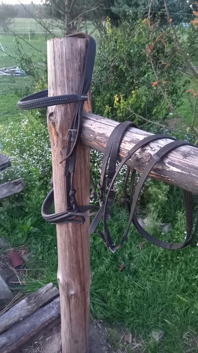 Oglowie full czarno niebieskie