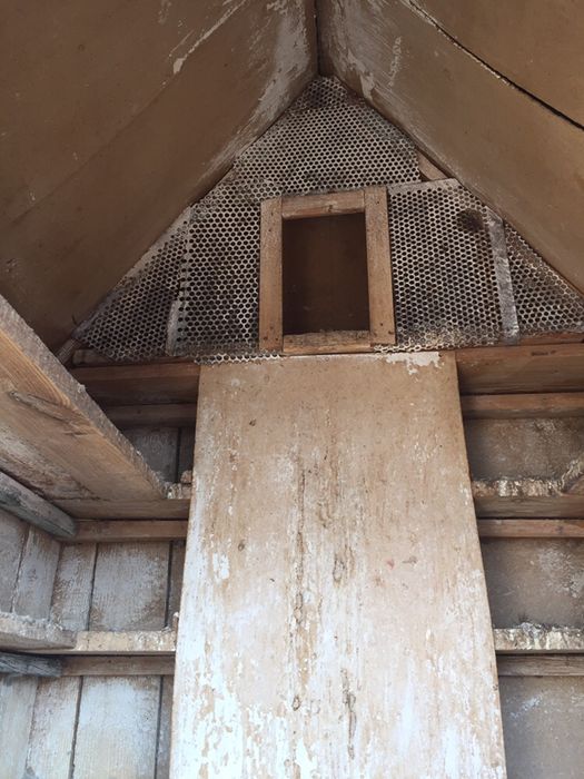 Голубятнік