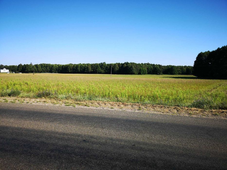 Działka budowlana pod Mławą 960 m²
