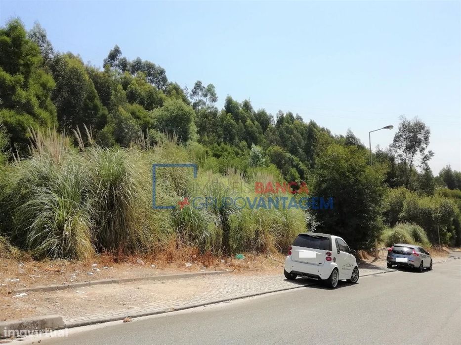 Terreno Rustico