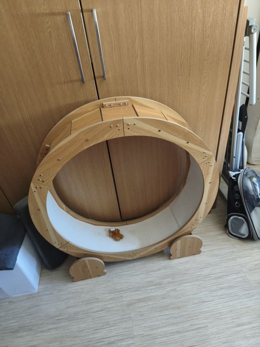 Roda de gatos Nova