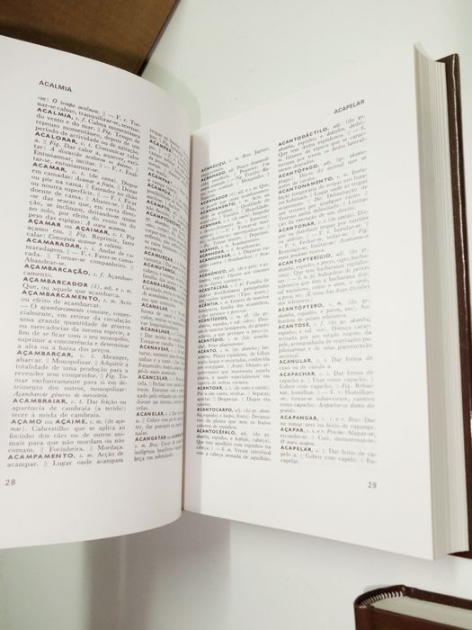 Lexilello - Dicionário da Língua Portuguesa - 5 volumes