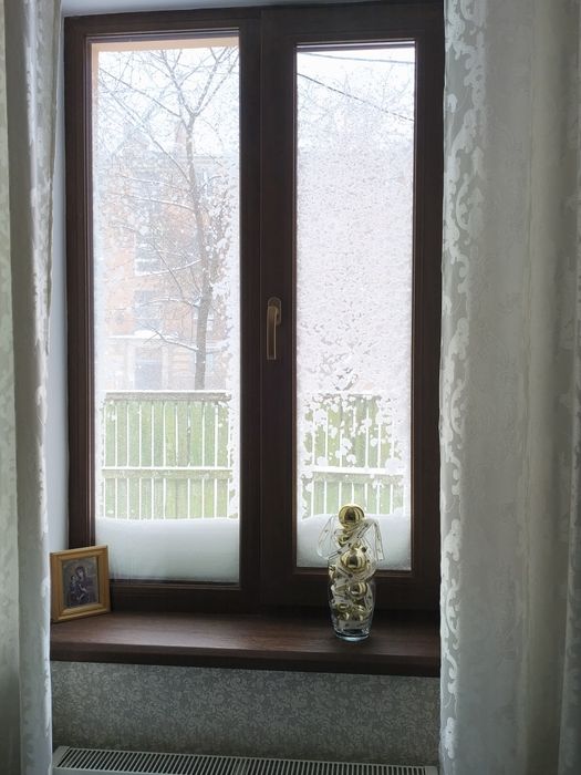 Будинок в центрі