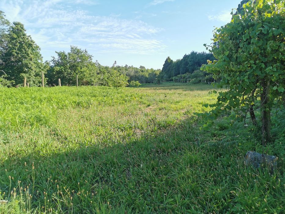 Quintinha com vistas para o rio Douro