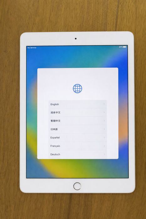 Ipad Pro 6,7 Cellular