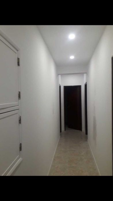 Pinturas e isolamentos
