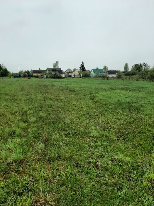 Земельна ділянка біля лісу.