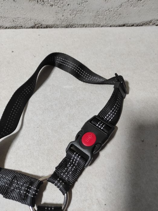 Szelki, smycz dla psa, do samochodu