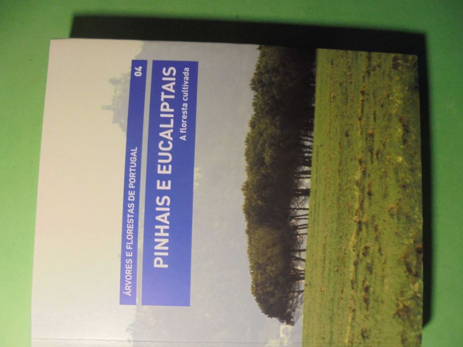 Silva (Joaquim Sande);Pinhais e Eucaliptais